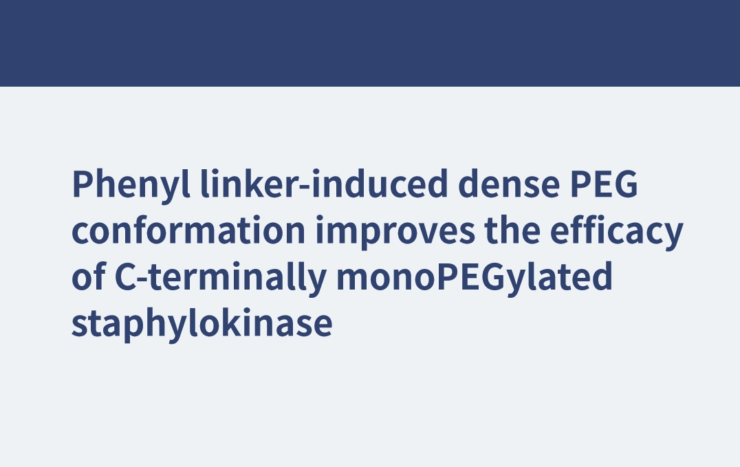 苯基连接体诱导的致密PEG构象提高了c末端单聚乙二醇化葡萄激酶的效能