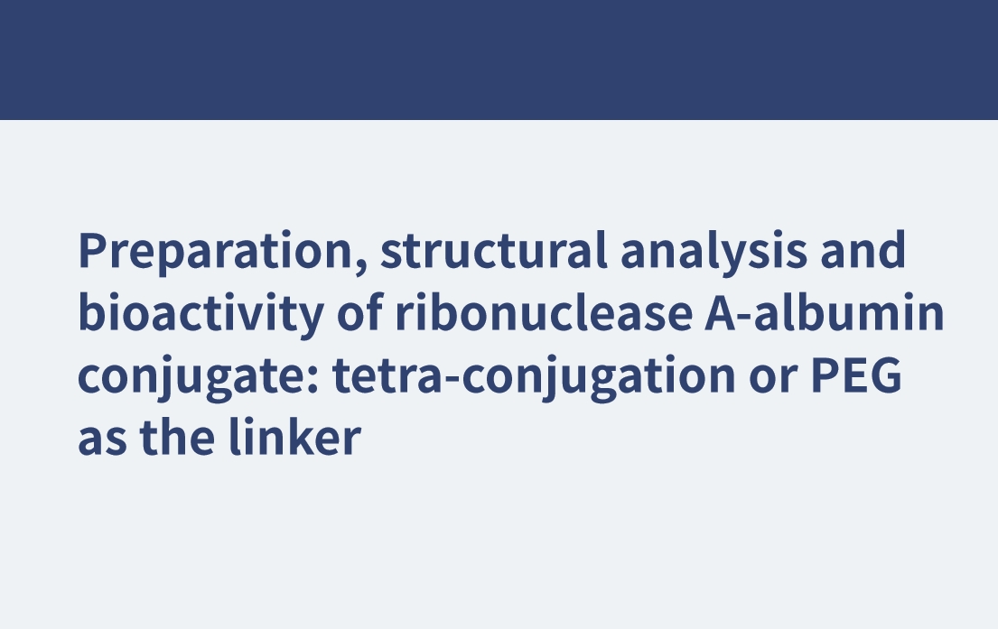 核糖核酸酶a-白蛋白偶联物的制备、结构分析及生物活性：四偶联或PEG作为连接物