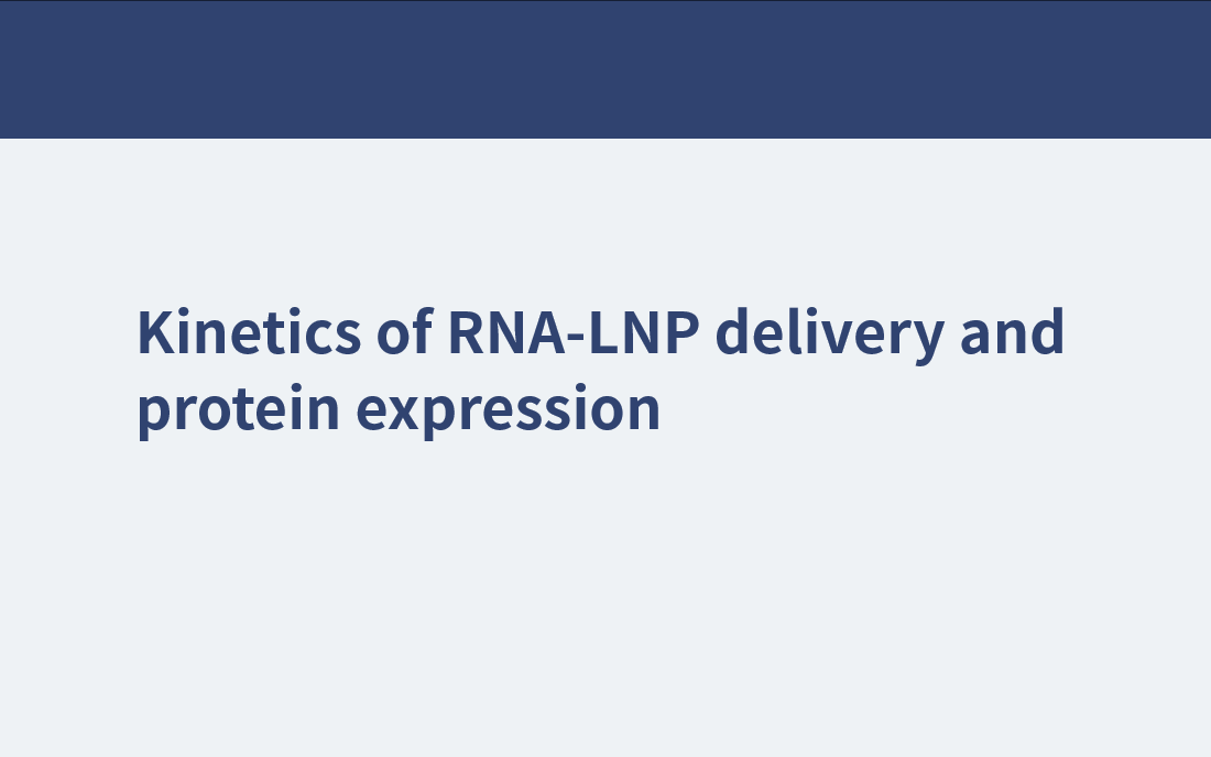 RNA-LNP传递和蛋白表达动力学