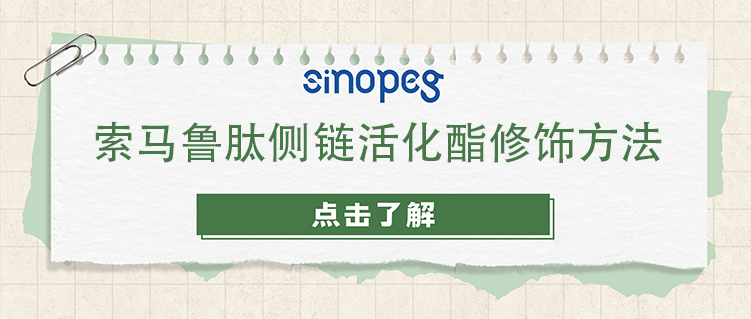 索马鲁肽侧链