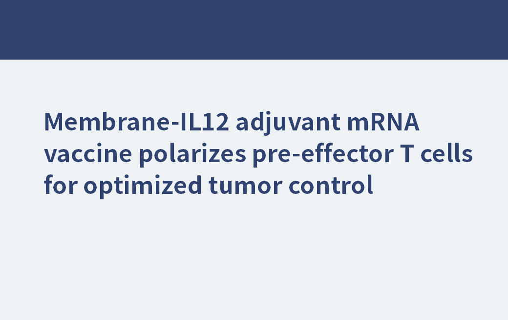膜- il12佐剂mRNA疫苗极化前效应T细胞以优化肿瘤控制