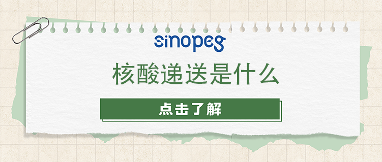 核酸递送是什么