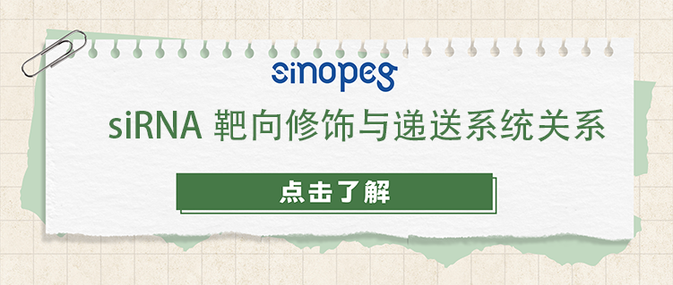siRNA靶向修饰与递送系统关系