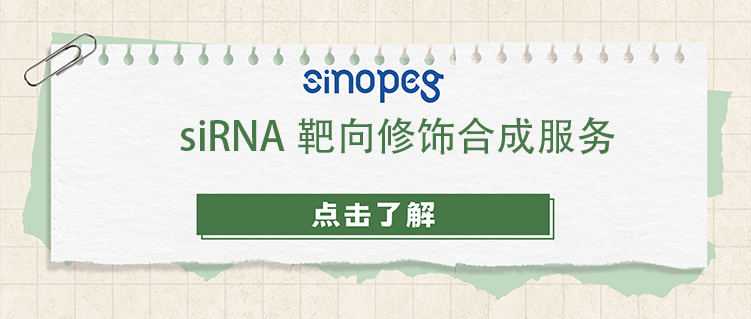 siRNA靶向修饰合成服务
