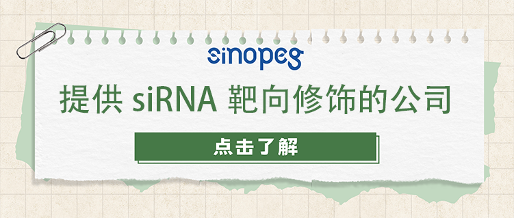 提供siRNA靶向修饰的公司